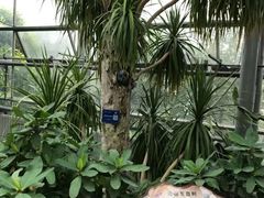 -南山植物园