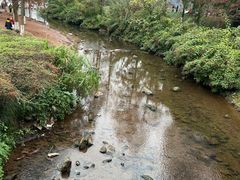 -重庆彩云湖湿地公园