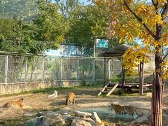 -西安秦岭野生动物园