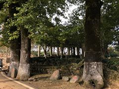 -乌石村