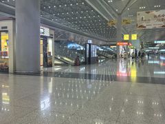 -郑州东站