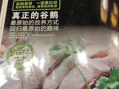 -鹅城