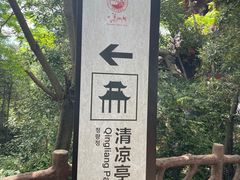 -酒仙湖景区