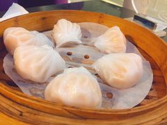 -云中小雅