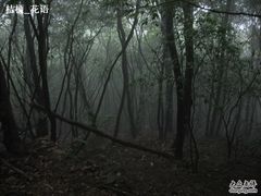 -安吉龙王山风景区