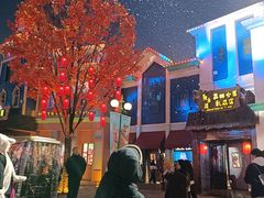 -沈阳方特欢乐世界