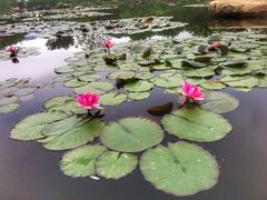 -白马涧龙池景区