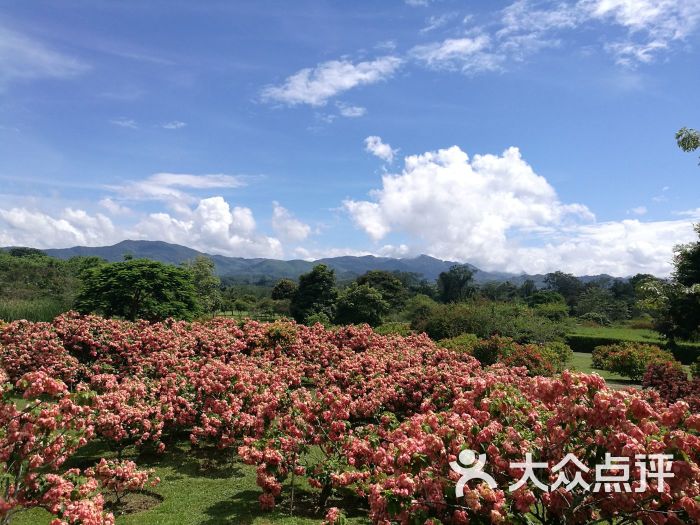 中國科學院西雙版納熱帶植物園圖片 - 第75張