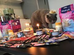 -卷心卷意·轻甜蛋糕(新光天地店)