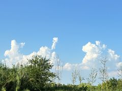 -同里国家湿地公园