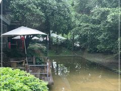 -老房子金沙元年川菜食府·花园餐厅(金沙店)