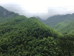 -长谷洞天