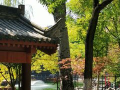 -莲湖公园