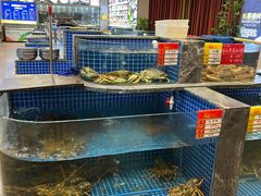 -骏莱海鲜鱼港(五角场店)