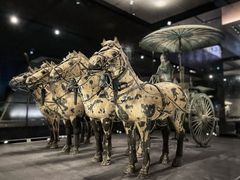 -秦始皇帝陵博物院(兵马俑)