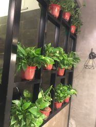 点击看大图 -时尚殿堂明星门店