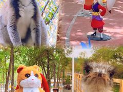 -水上乐园·欢乐世界