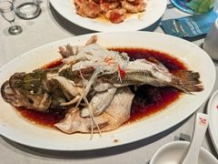 -7号院家宴.烧鸽子(门头沟店)