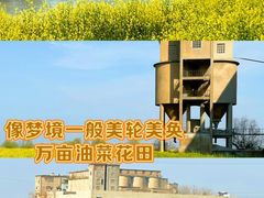 -苏州太湖西山岛开心农场