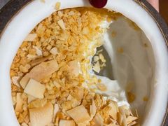 原味椰子冻-椰椰大吉(海城店)
