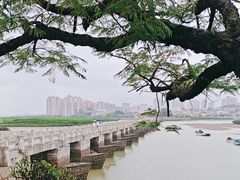 -洛阳桥