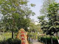 -映月湖公园