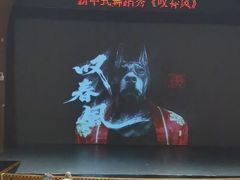 -凤凰之声大剧院