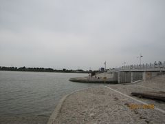 -大湾区中央湿地公园