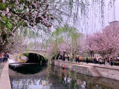 -海棠花溪(元大都城垣遗址公园)