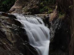 -广州白江湖森林公园