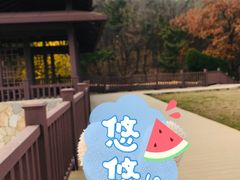 -棒棰岛宾馆景区