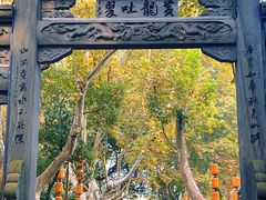 -杭州黄龙洞