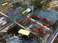 -明记海鲜大排档(巽寮湾店)
