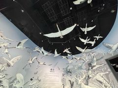 -中国湿地博物馆
