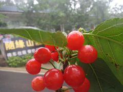 -樱桃山旅游景区