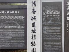 -洛阳市隋唐城遗址植物园