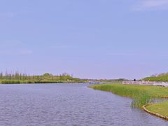 -春花秋色城市公园