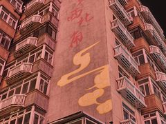 -津老味煎饼果子(西北角总店)