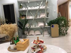 -至臻康妍健康管理中心