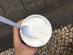 -洪馨椰子