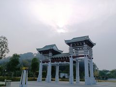 -王借岗森林公园