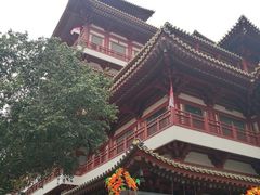 -新加坡佛牙寺龙华院