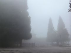 -武陵山森林公园