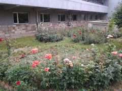 -北京小汤山医院体检中心