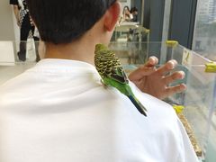 -怪兽屋·羊驼·猫咖·狗咖(俊华广场店)