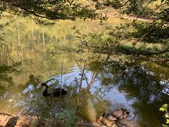 -水濂山森林公园