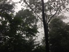 -轿顶山景区