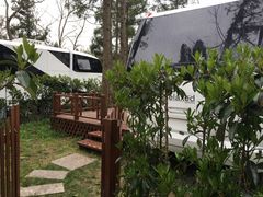 -崇明东平国家森林公园烧烤房车露营地