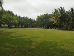 -万绿园