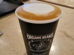 -乐天免税店(明洞店)